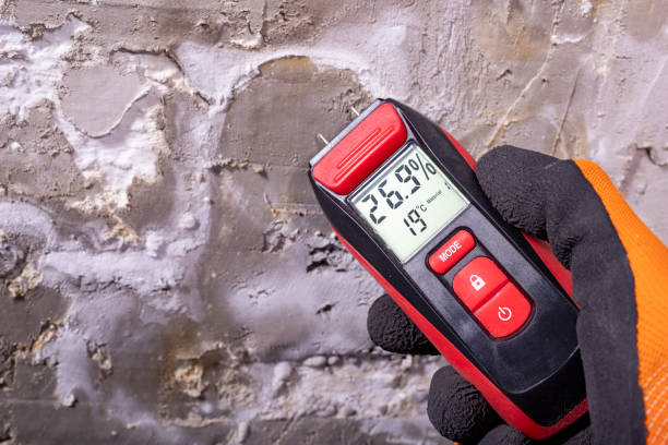 Best Certified Mold Removal  in Kingfisher, OK