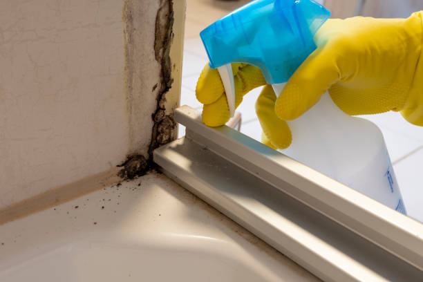 Best Mold Testing  in Kingfisher, OK