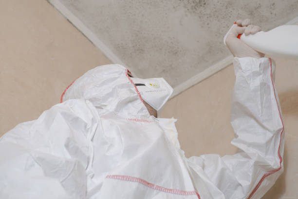 Best Attic Mold Removal  in Kingfisher, OK