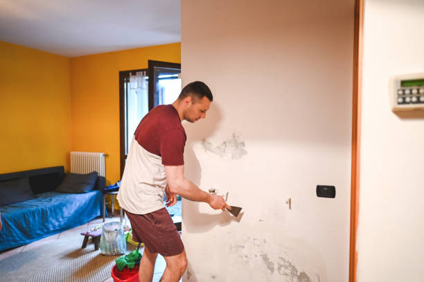 Best Mold Remediation  in Kingfisher, OK