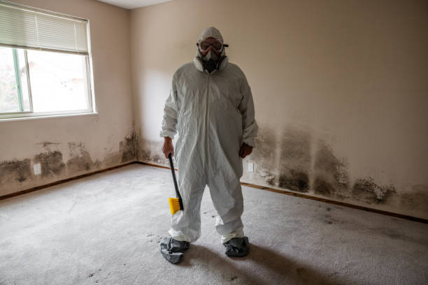 Mold Removal Process in Kingfisher, OK