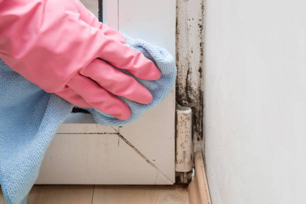 Best Crawl Space Mold Removal  in Kingfisher, OK